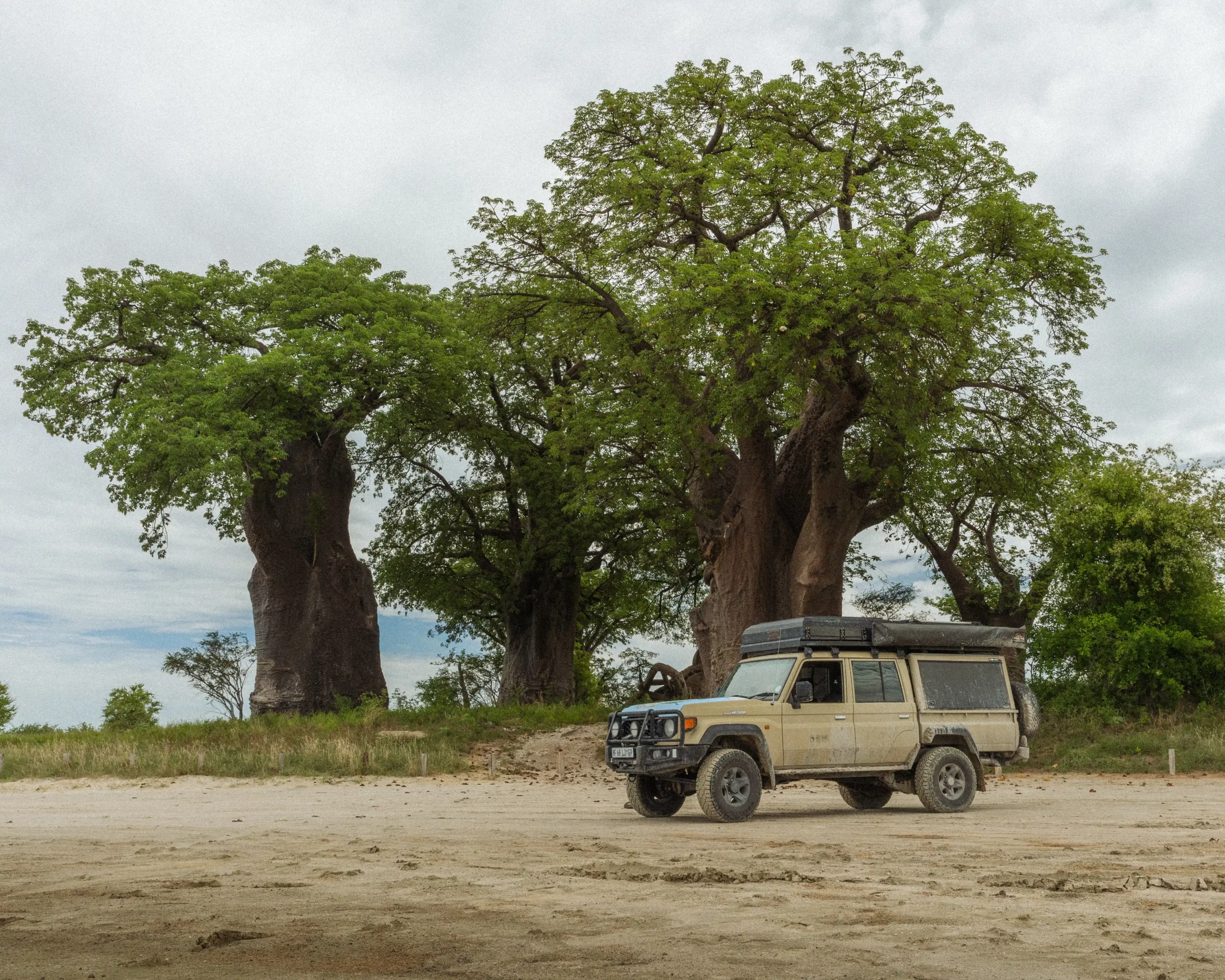 Toyota Land Cruiser overland rental vehicle in the bush