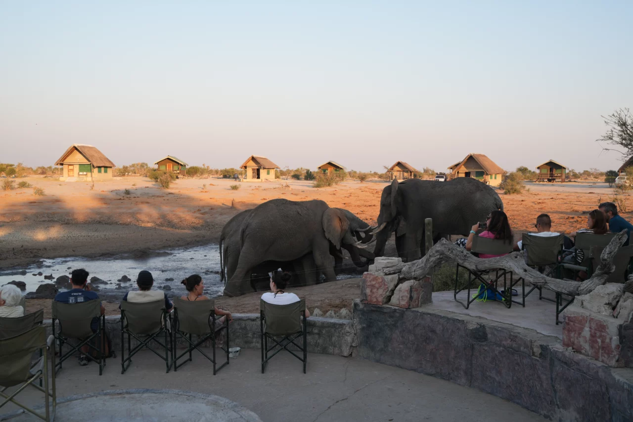 Lovely afternoon photo of a family sitting and watching wild Africa elephants pass infront of them. Lodge huts are situated in the backround. This was captured while traveling with Voetsporerentals in the Land of the Lozi. 