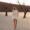 Alie In Africa